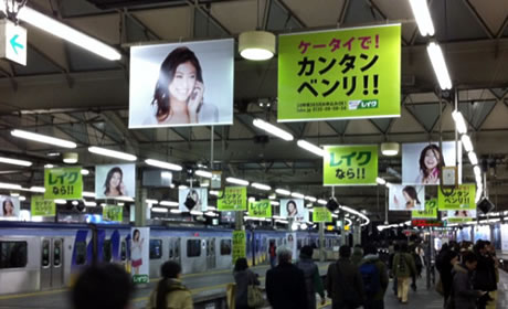 toyoko.jpg