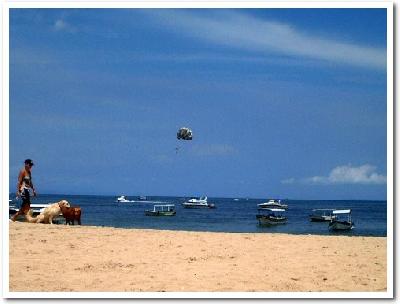 050122bali03.jpg