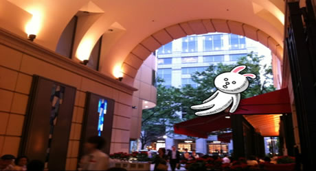 AOYAMA.jpg