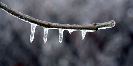 NATURE.jpg