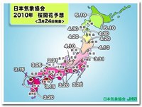 chart_large_2010.jpg