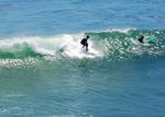 surfin005.jpg