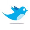 twitter_bird_logo_by_ipotion.jpg