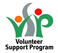 vsp.jpg
